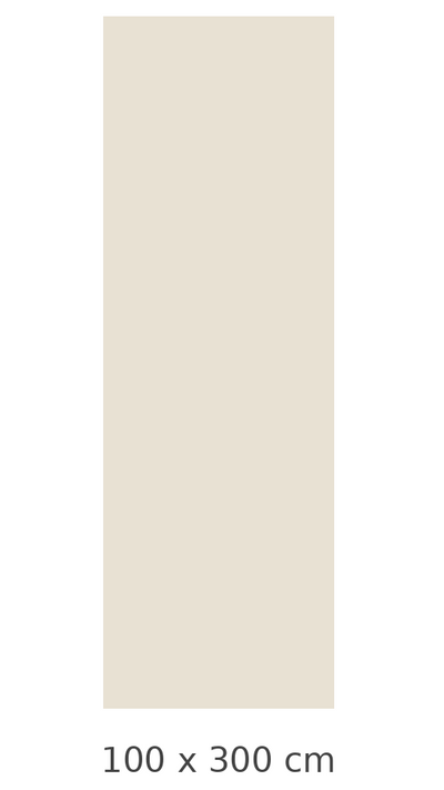 100 x 300 CM